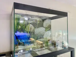 Stunning Aquarium Setup – Delivered in Nairobi