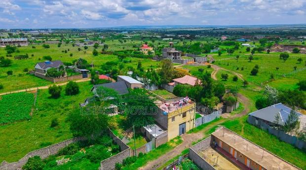 Kitengela Plains 2. Going - thumbnail 4