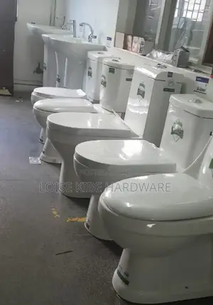 Smart Toilet Available