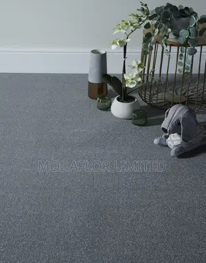Delta Wall to Wall Carpets