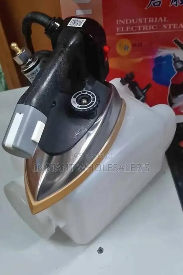 Electric Commercial Steam Iron