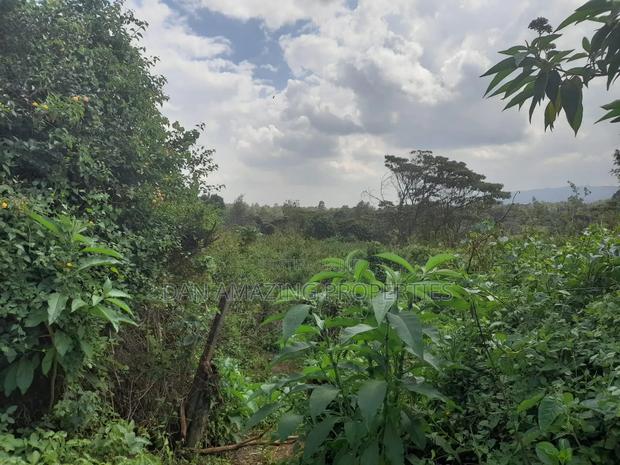 5 Acres Virgin Land for Sale in Karen Resurrection Area