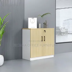 Sturdy 2-Door Low Level Storage Cabinet