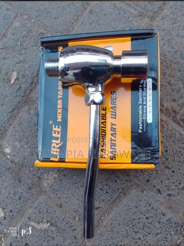 Urinal Flash Valve