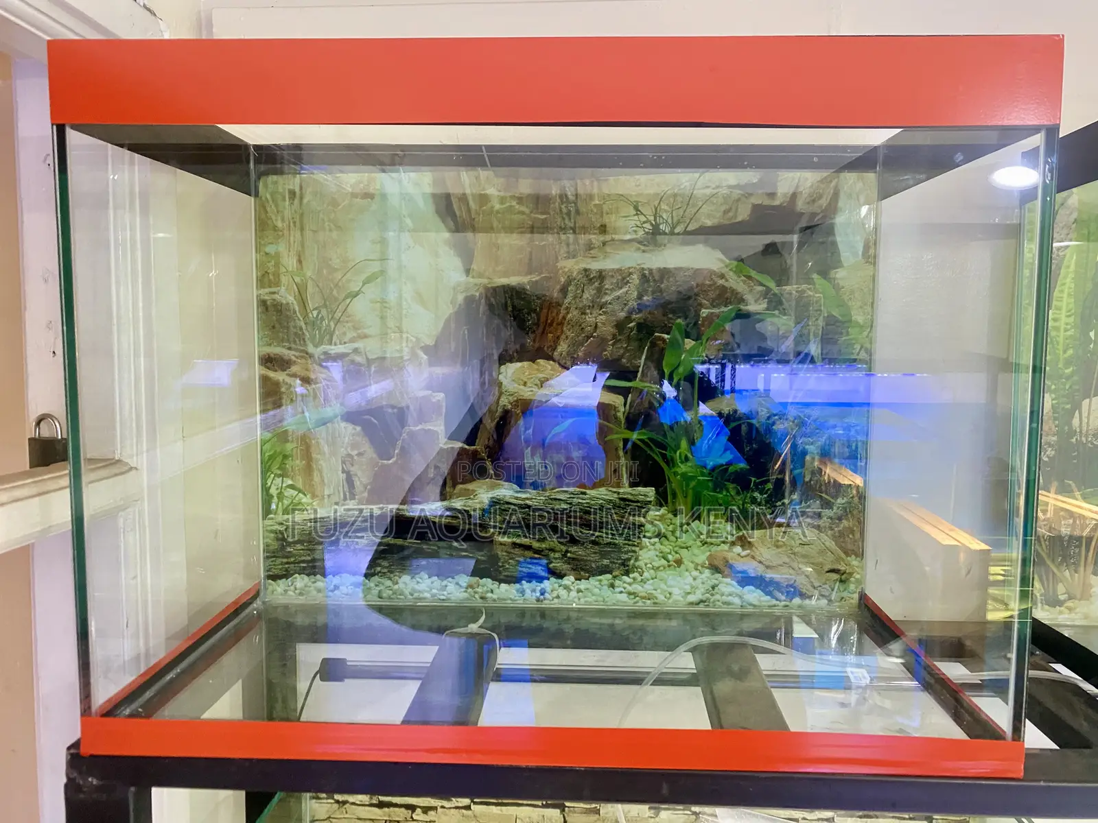 Aquarium Experience at Its Finest