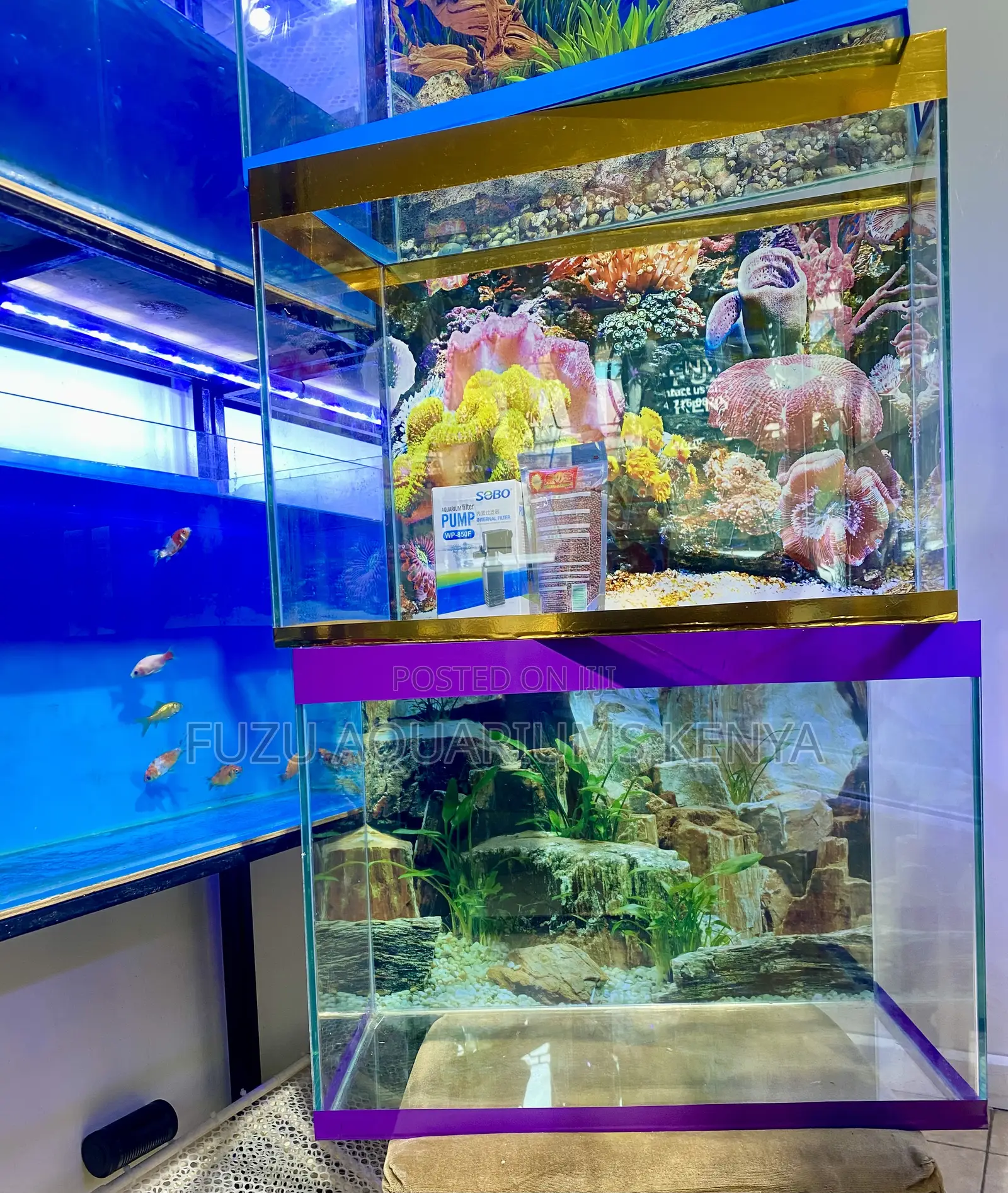Stunning Aquarium Setup – Delivered From Nairobi