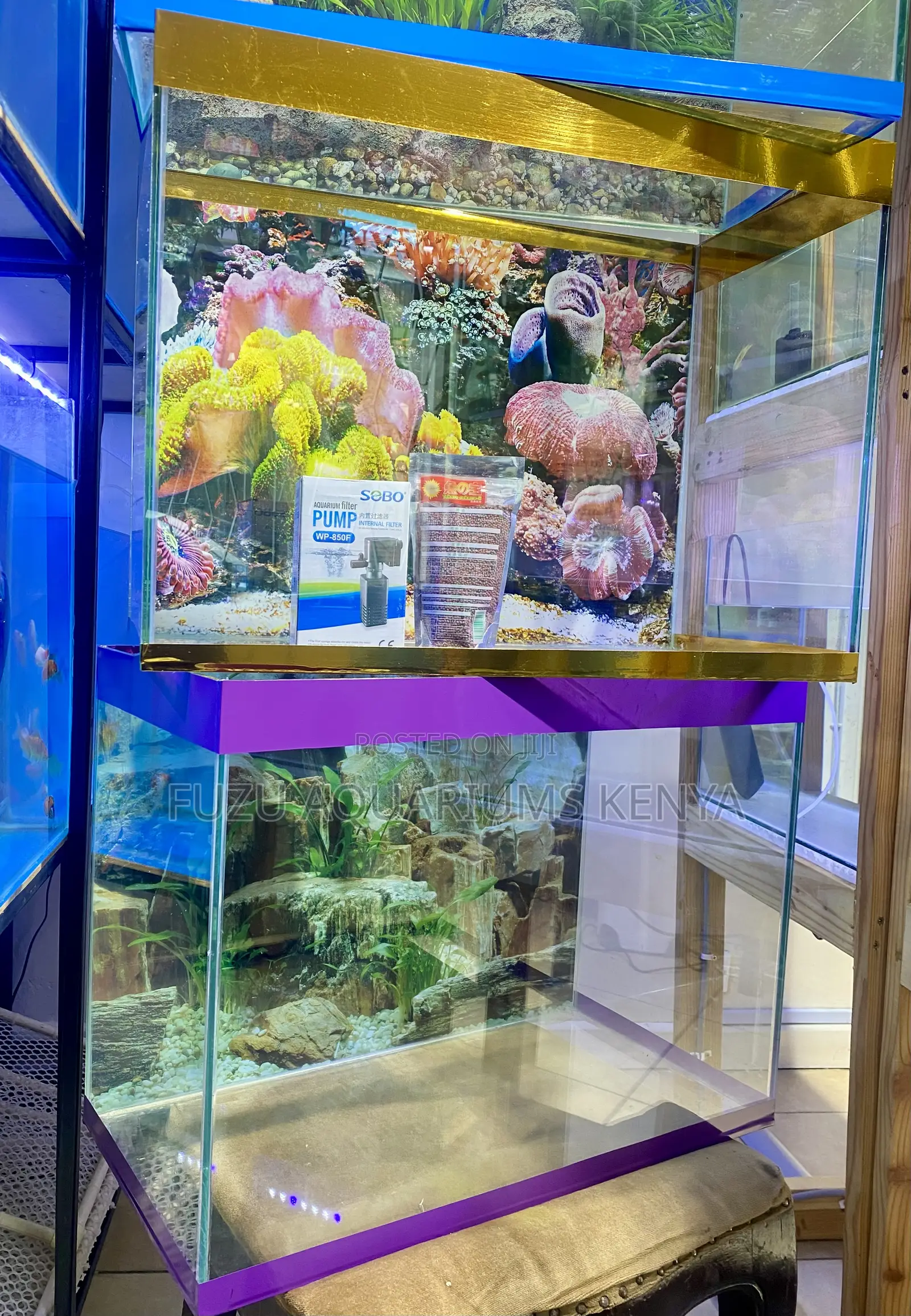 Aquarium Feels – Relax and Enjoy the View