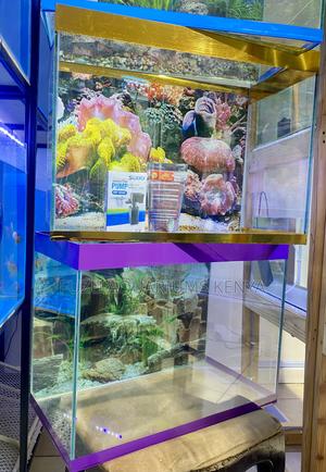 Aquarium Feels – Relax and Enjoy the View - thumbnail 2