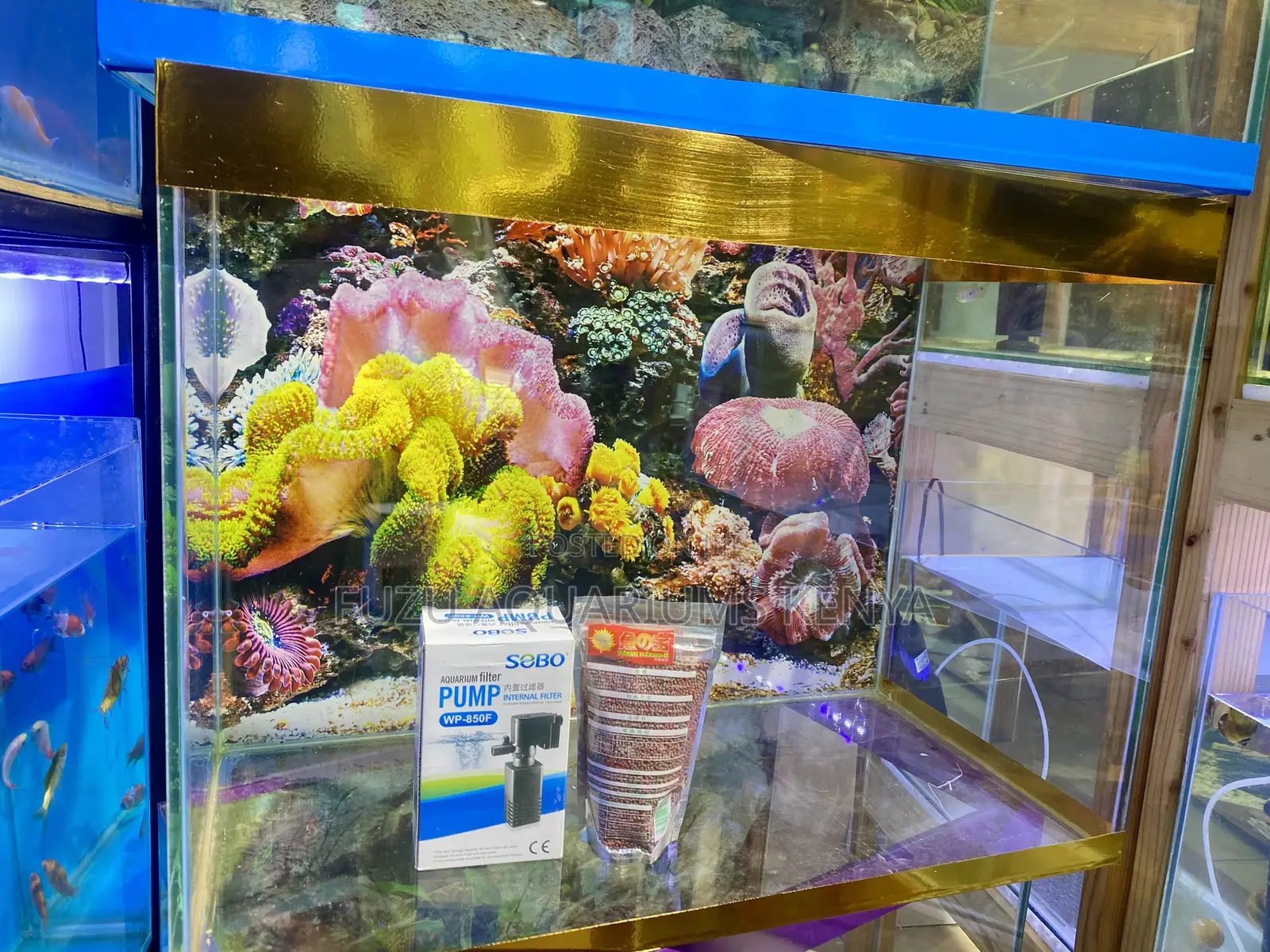 Make a Splash With This 2ft Aquarium