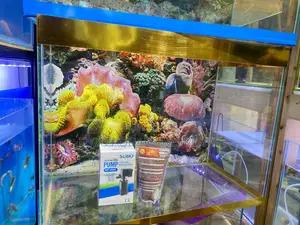 Make a Splash With This 2ft Aquarium