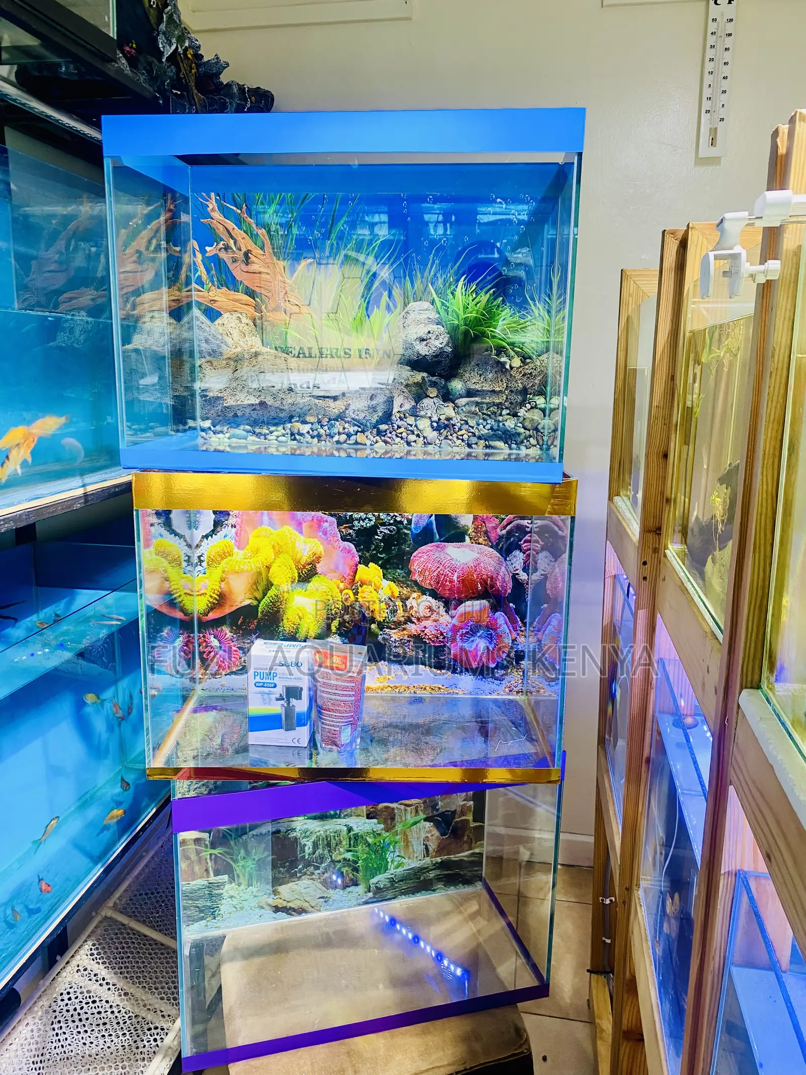 Aquarium Art – A View You’Ll Love