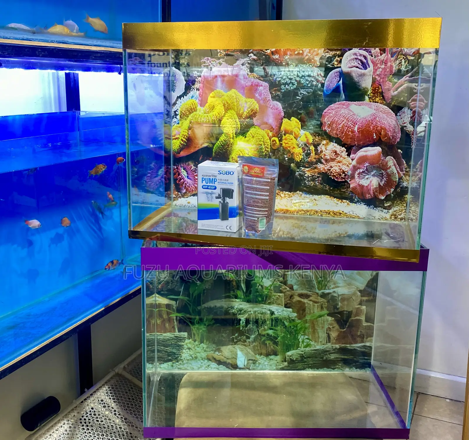 Functional Meets Beautiful in These Aquariums, Varieties