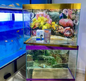 Functional Meets Beautiful in These Aquariums, Varieties