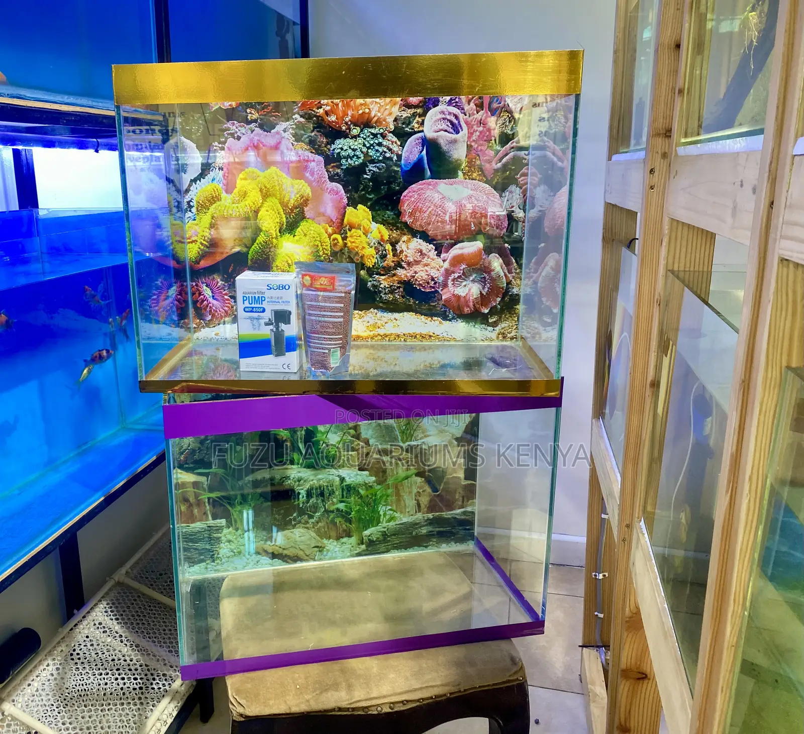 Aquariums for Peace, Style Serenity