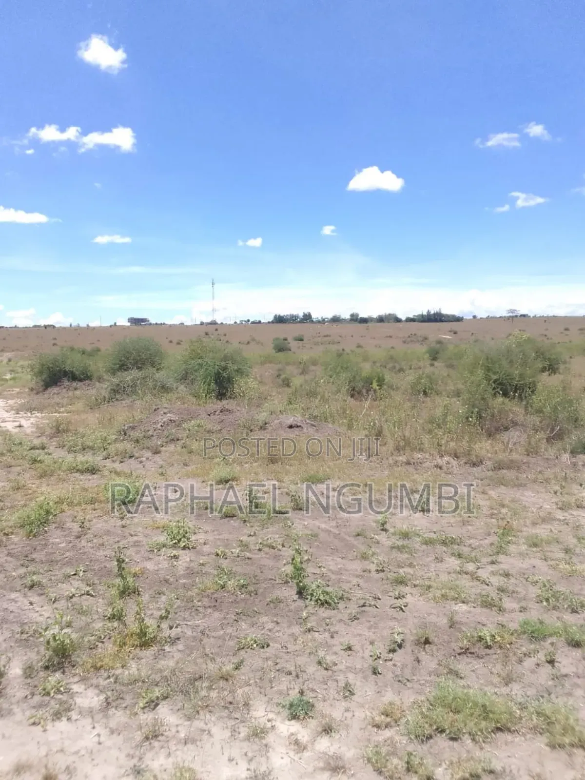 Forty (40) Acres at Kinanie Athi River