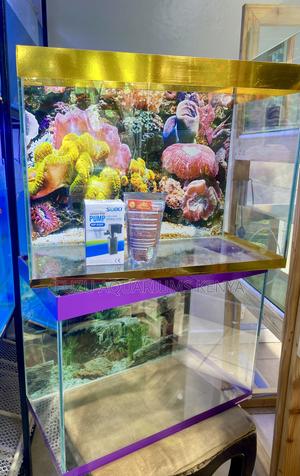 Nairobi’S Favorite Aquarium Setup Is Back - thumbnail 2