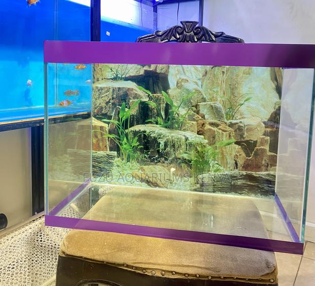 Create Your Aquarium Sanctuary Today - main view