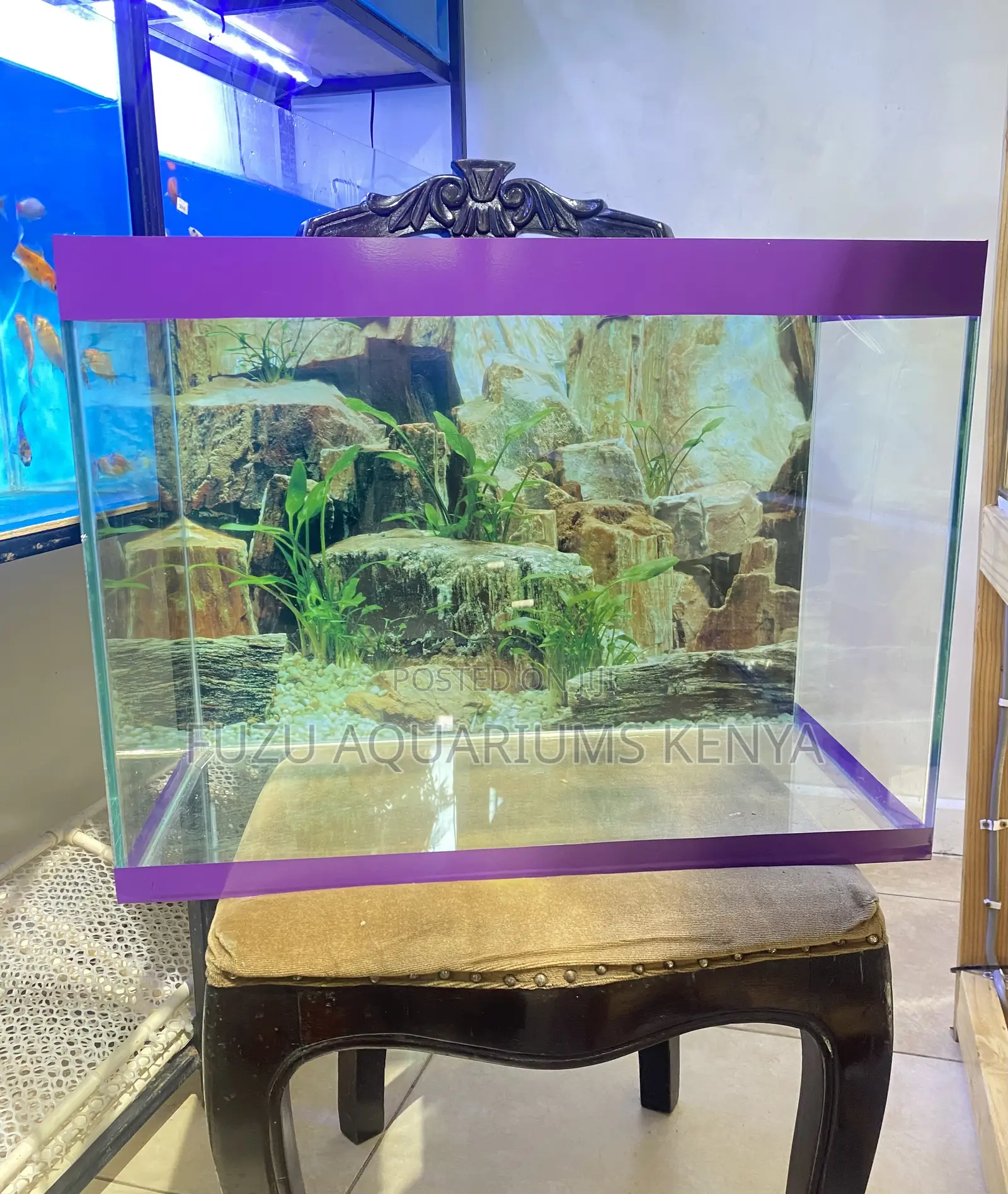 Aquarium Setup So Good It Sells Itself