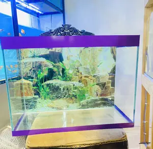 Aquarium Perfection in Just 2 Feet