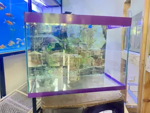 Complete Aquarium Kit – Just Add Fish