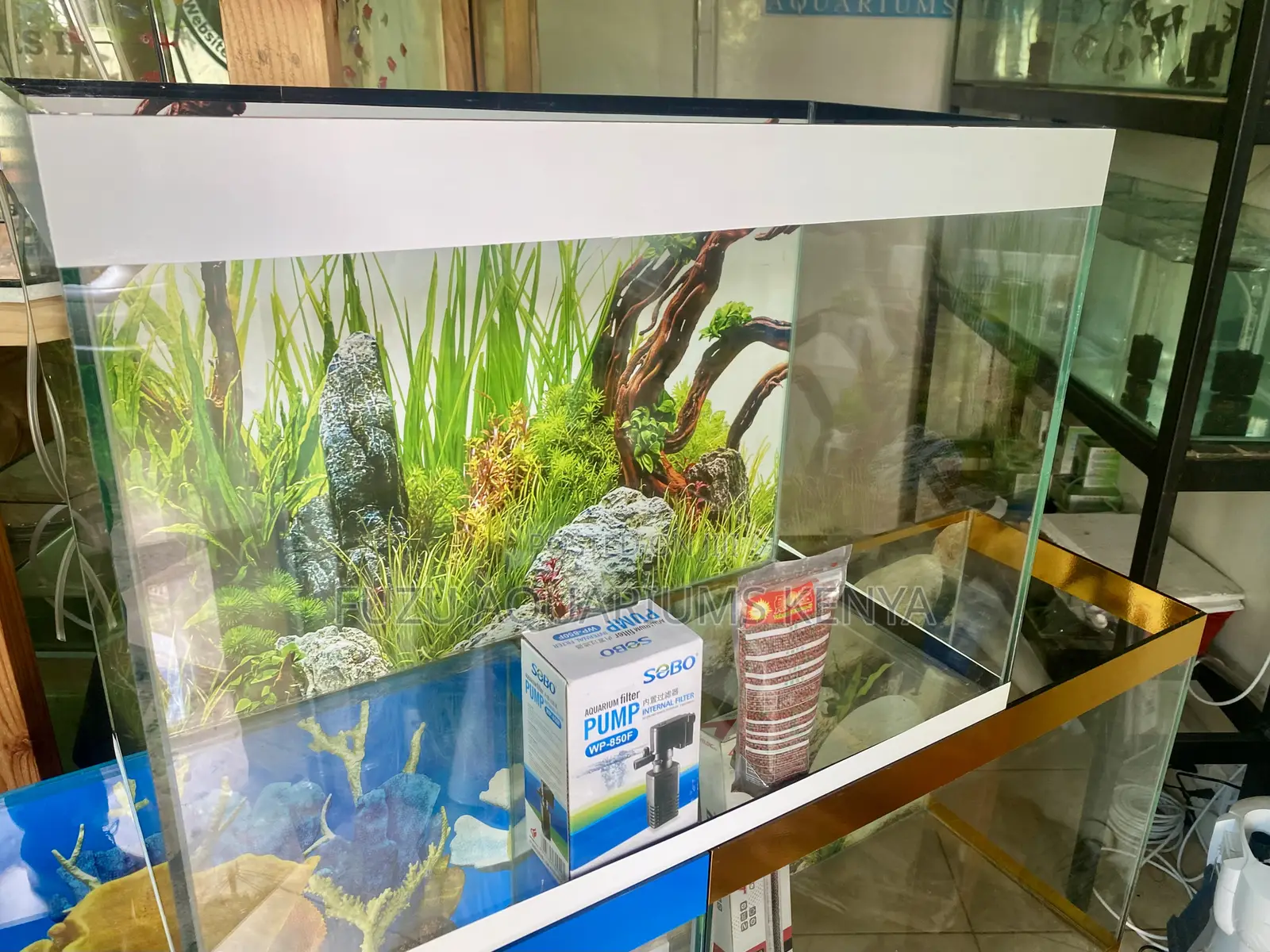 Aquarium Love Delivered Straight to You