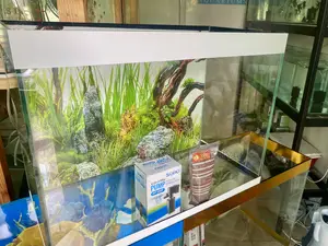 Aquarium Love Delivered Straight to You