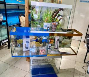 Add a Wow Factor With This Aquarium - thumbnail 2