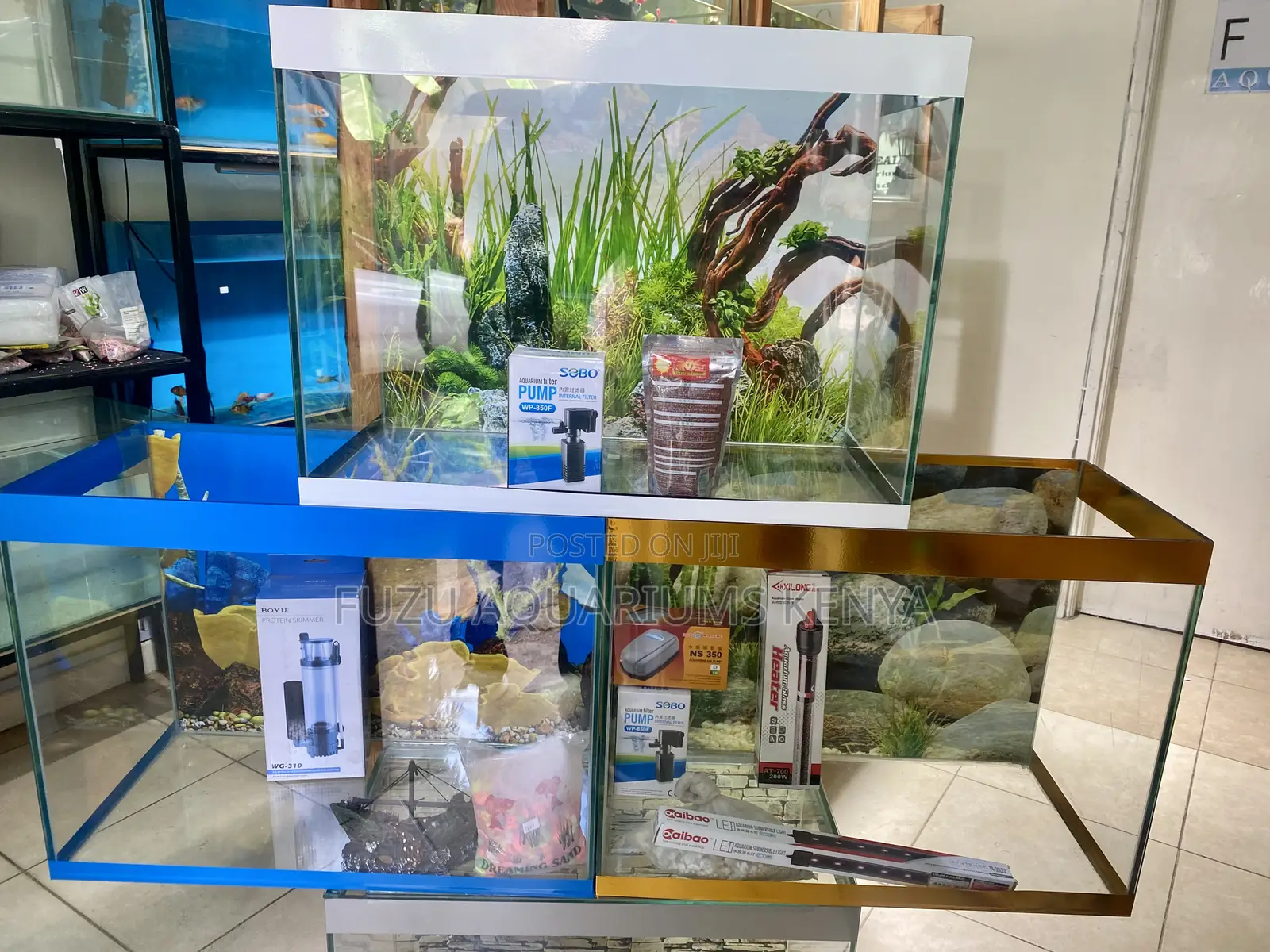 Aquarium Bundle You Don’T Want to Miss