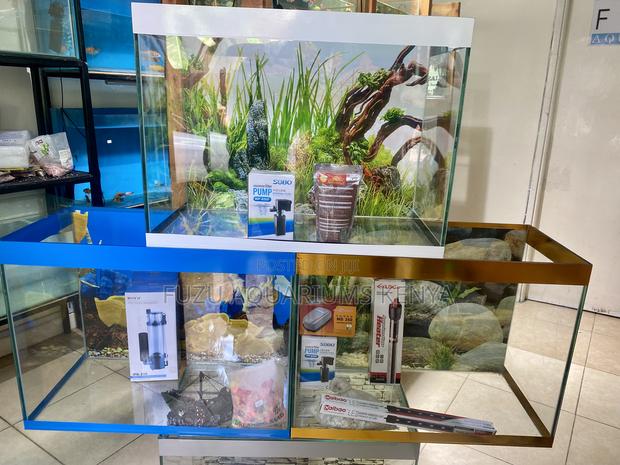 Aquarium Bundle You Don’T Want to Miss