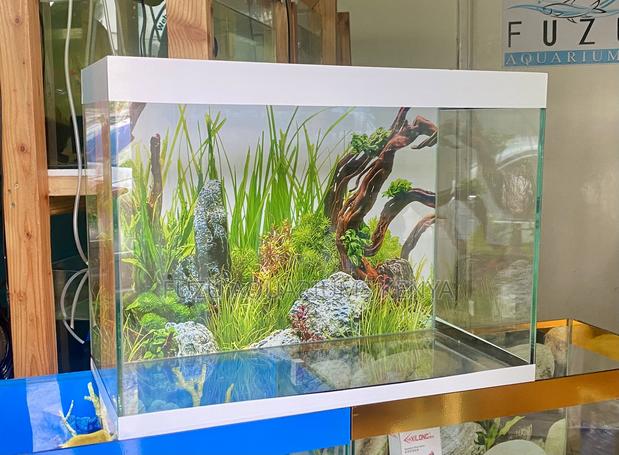 From Nairobi With Love – Stunning Aquarium