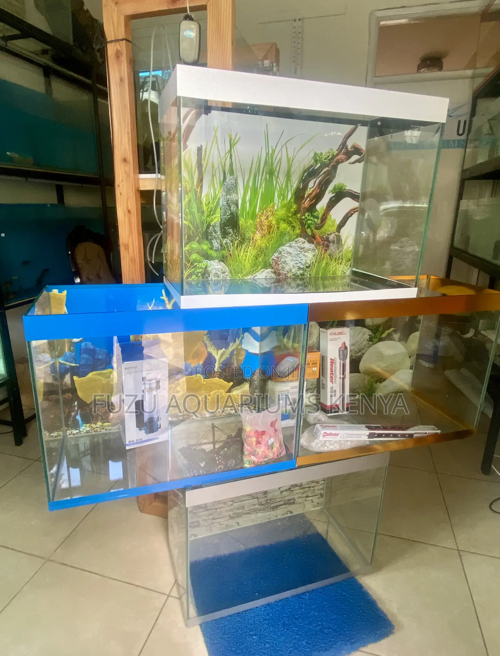 Aquarium Setup That’S Simply Mesmerizing