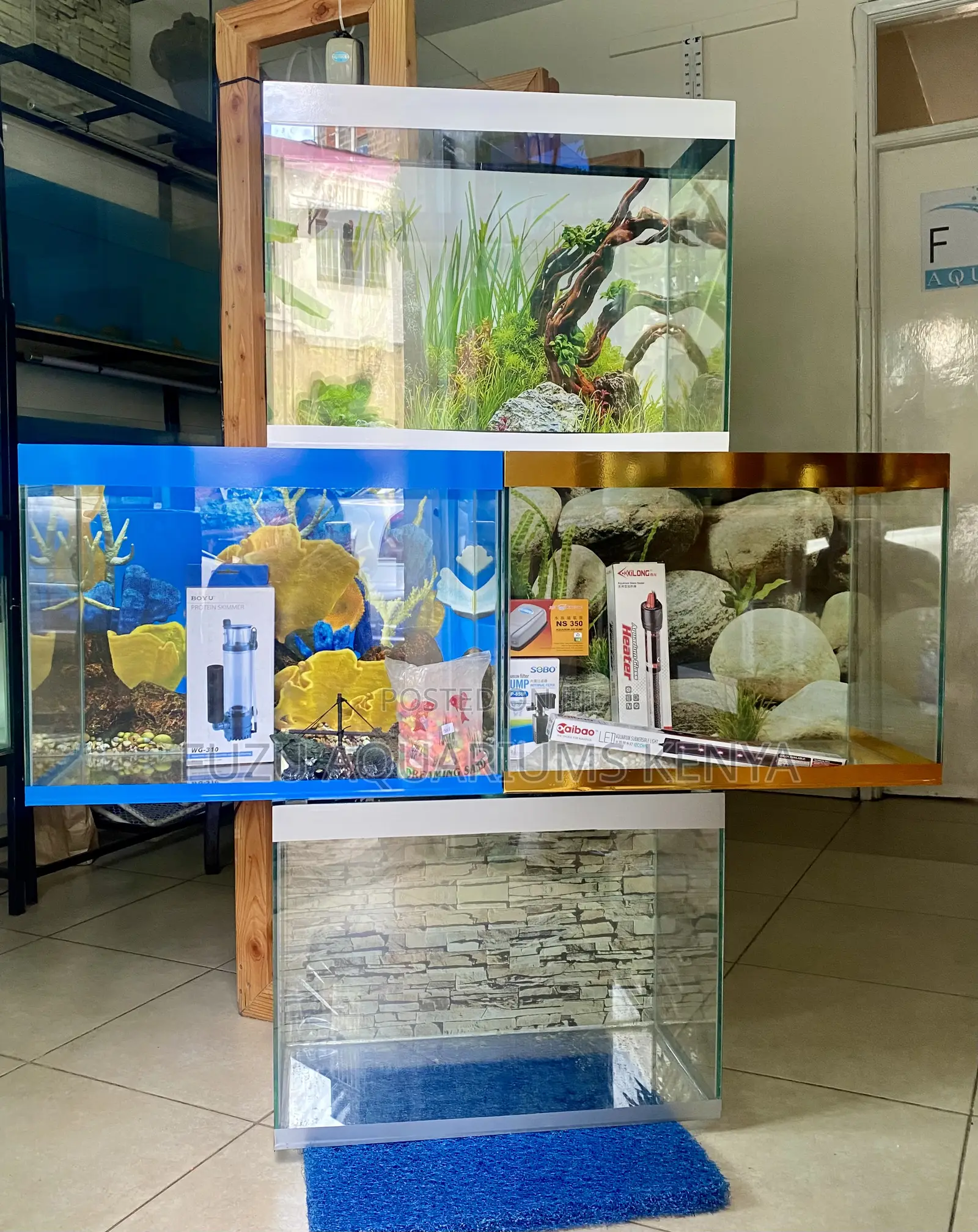Live Aquarium Setup That Steals the Show