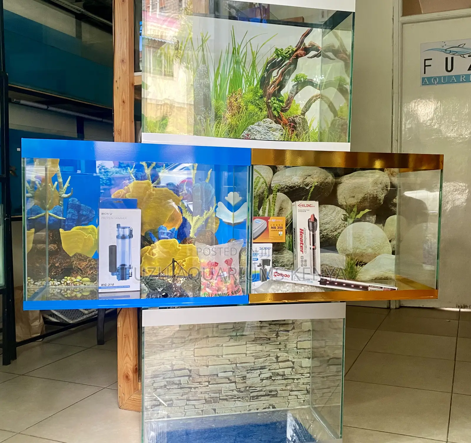 Discover the Joy of Aquarium Living