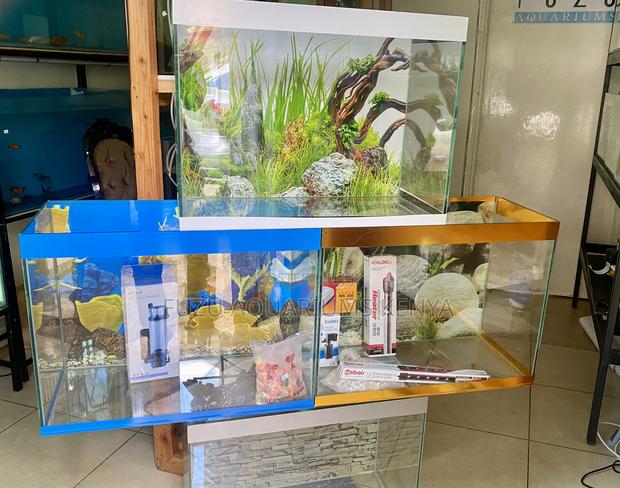 Eye-Catching Aquarium for Your Home - main view