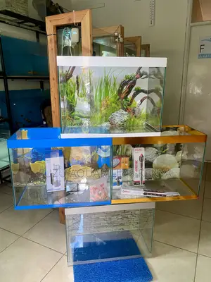 Aquarium Look, Designer Feel