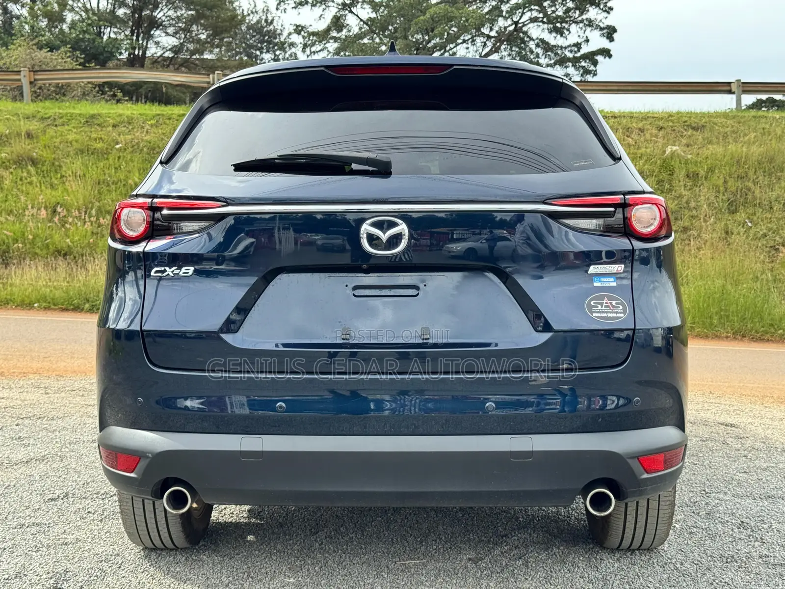 Mazda CX-8 2018 Blue