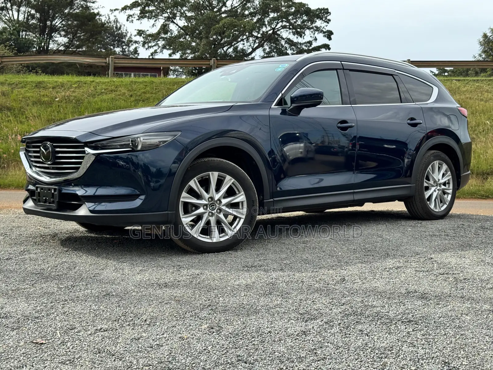 Mazda CX-8 2018 Blue