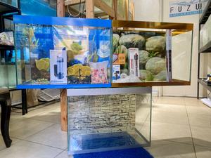 Aquarium Vibes for Your Peaceful Corner - thumbnail 2