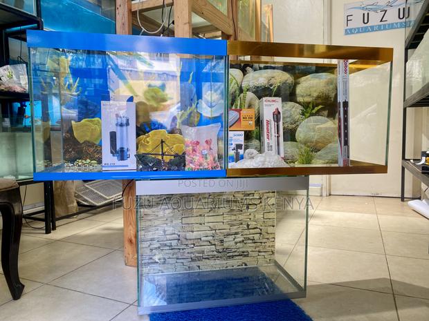 Aquarium Vibes for Your Peaceful Corner - main view