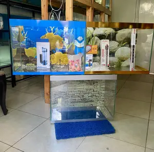 From Nairobi to Your Door – Aquarium Deal