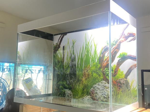 Stylish Aquarium Setup for Everyday Joy - main view