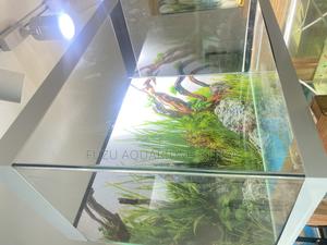 Aquarium Setup With Light, Love Life - thumbnail 2