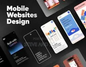 Programming and Website Designer