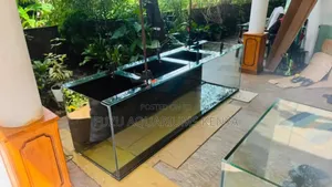 Customized Nature Aquarium