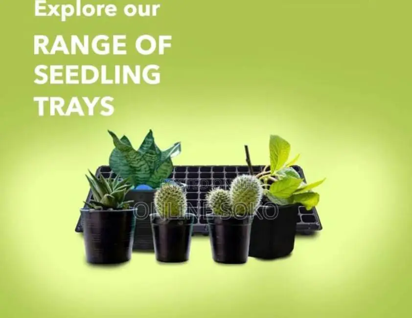 Seedling Planting Trays, Pots/Planters, Bio-degradable Bags