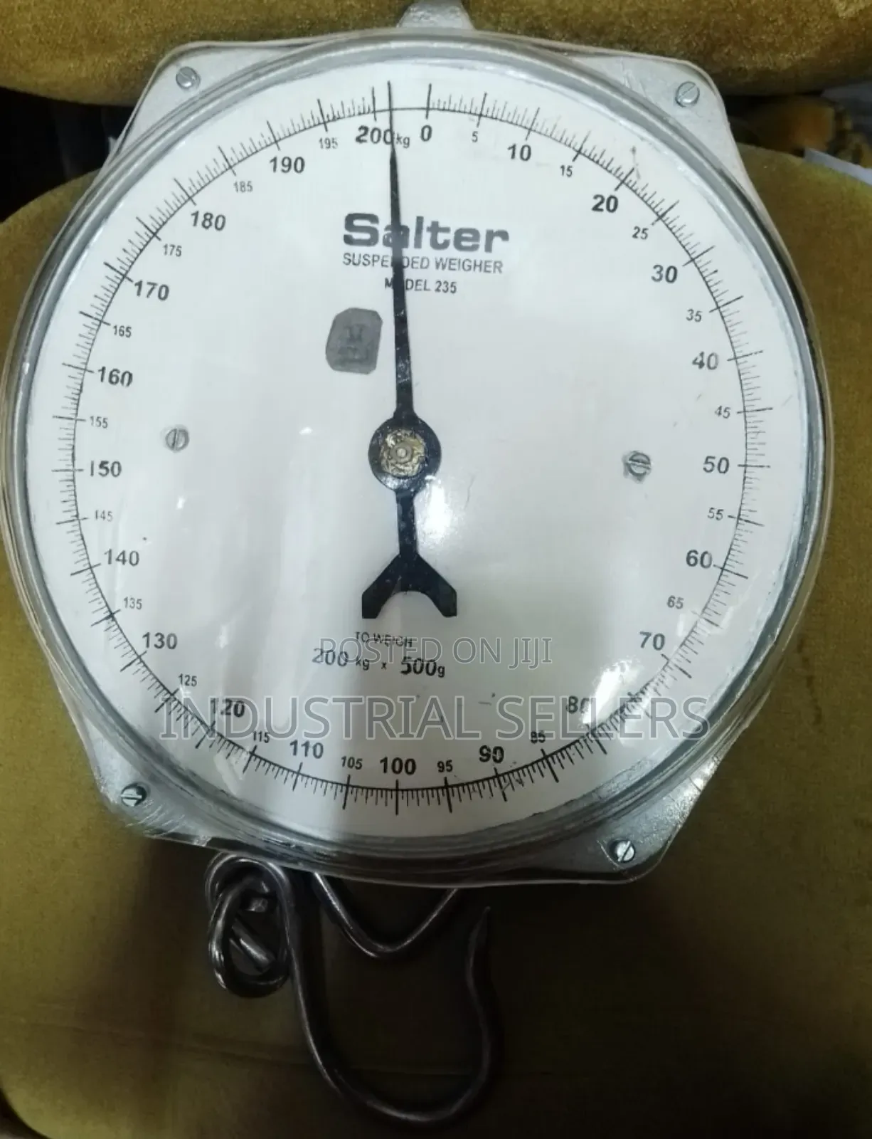 Original Salter 200kg Hanging Scale