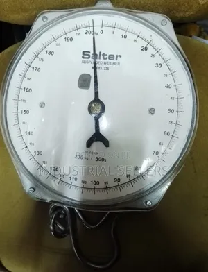 Original Salter 200kg Hanging Scale
