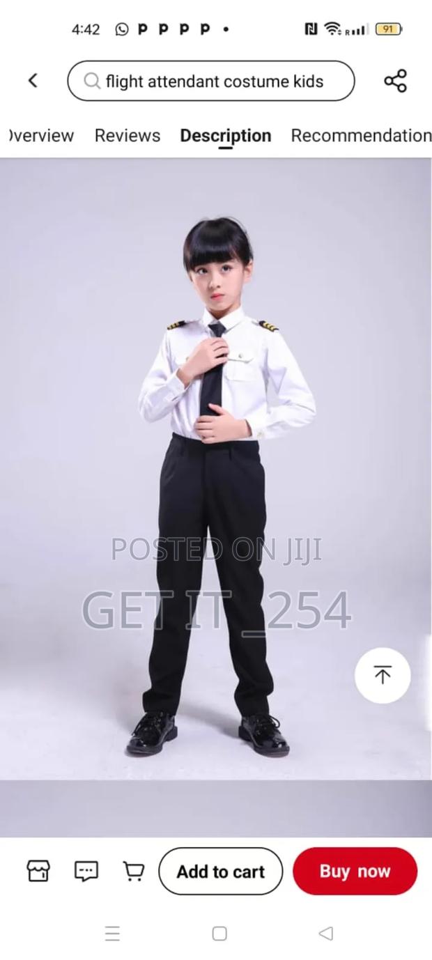 Professional Children's Flight ✈ Attendant - main view