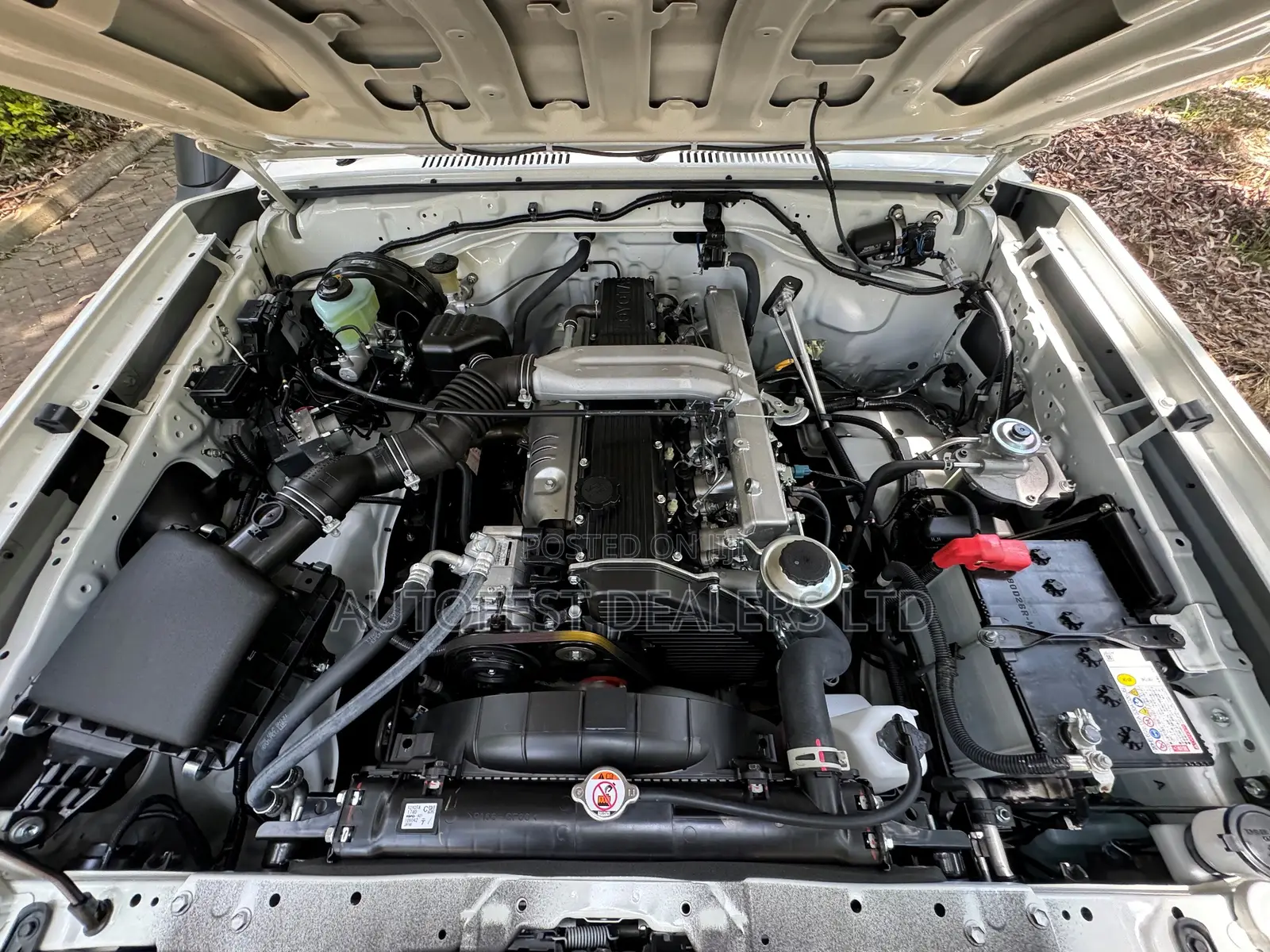New Toyota Land Cruiser 2024 White