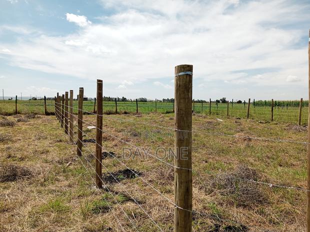 1/8 Acre Land in Kajiado - thumbnail 4